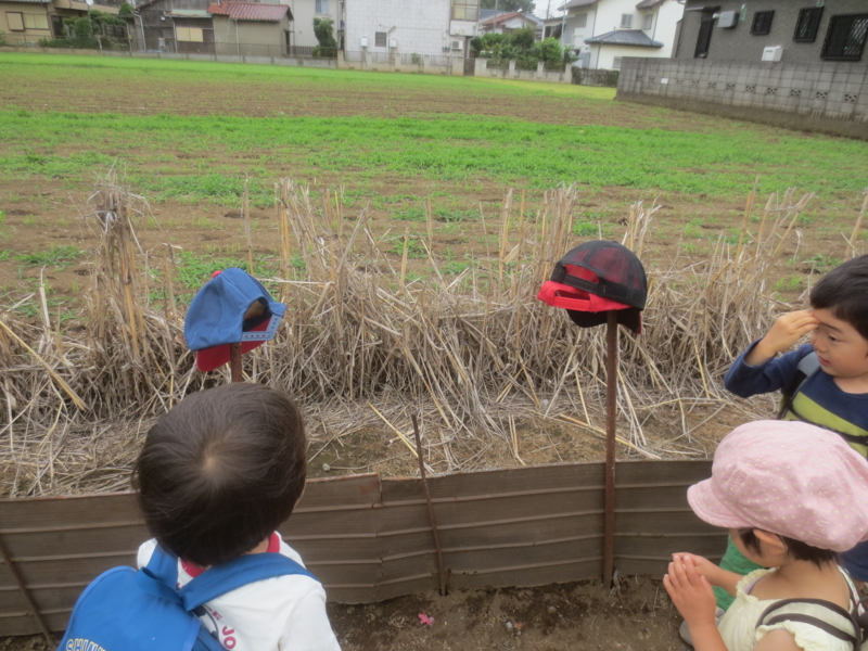 f:id:donkoro:20150605103318j:plain f:id:donkoro:20150605103318j:plain