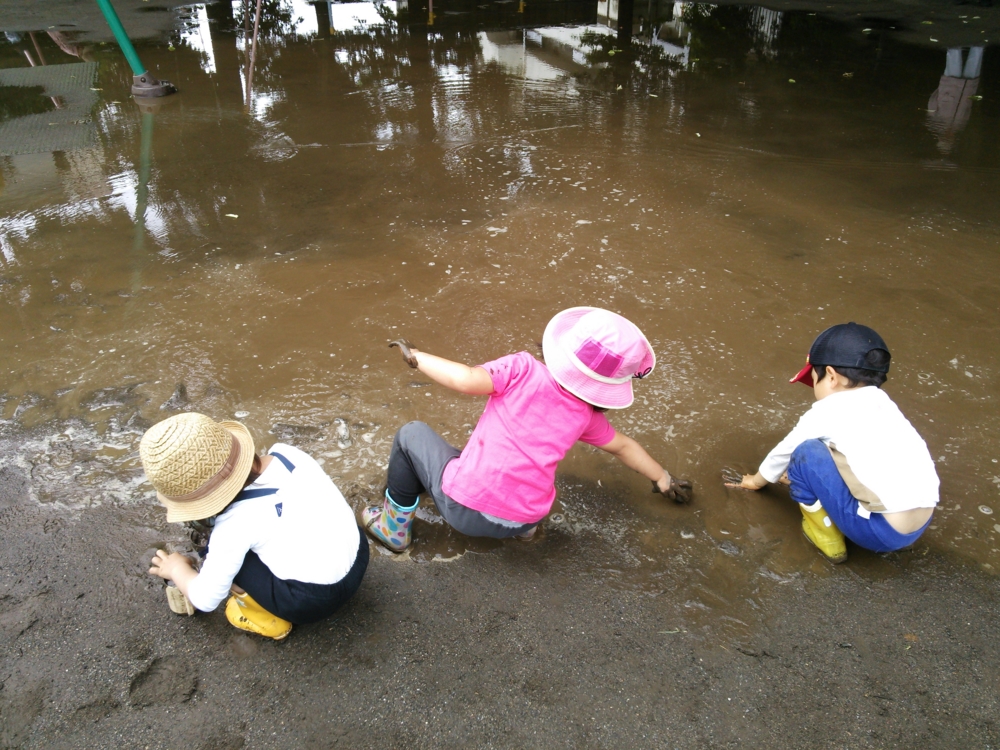f:id:donkoro:20150609113105j:plain f:id:donkoro:20150609113105j:plain