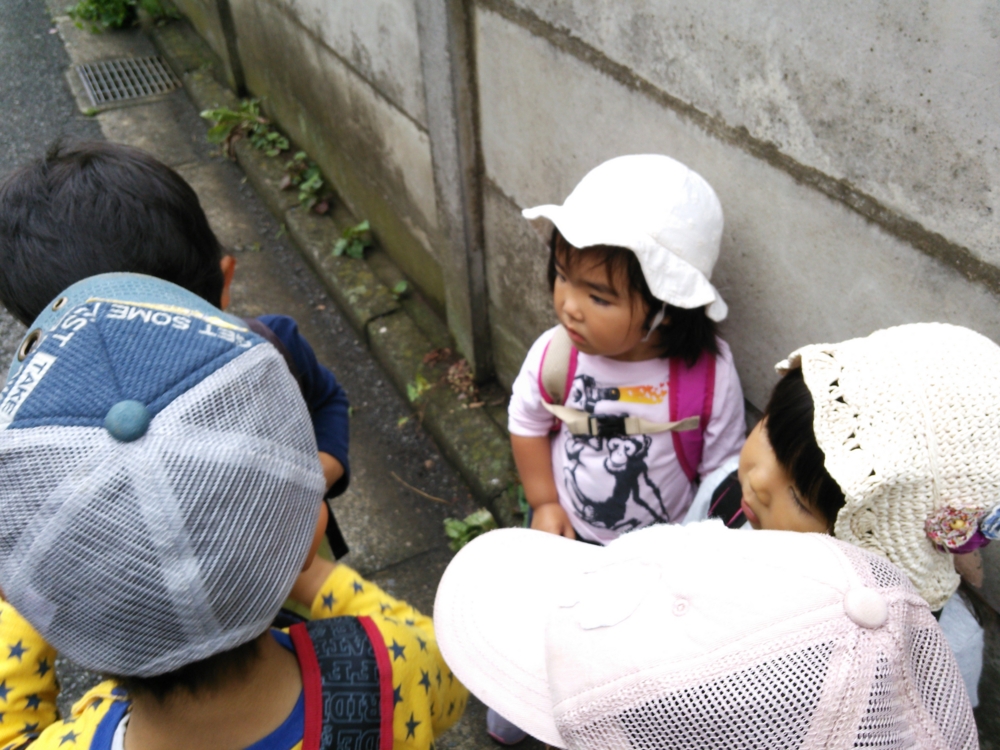 f:id:donkoro:20150618101831j:plain f:id:donkoro:20150618101831j:plain