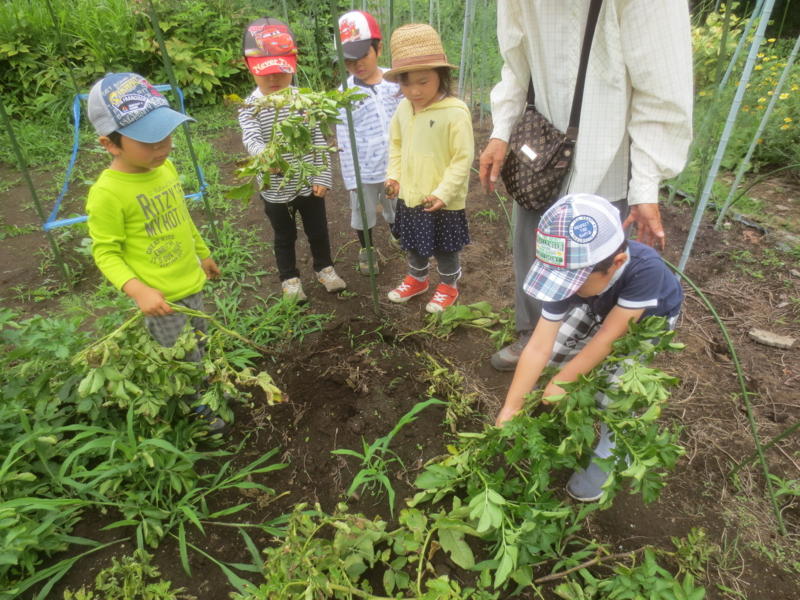 f:id:donkoro:20150622102950j:plain f:id:donkoro:20150622102950j:plain