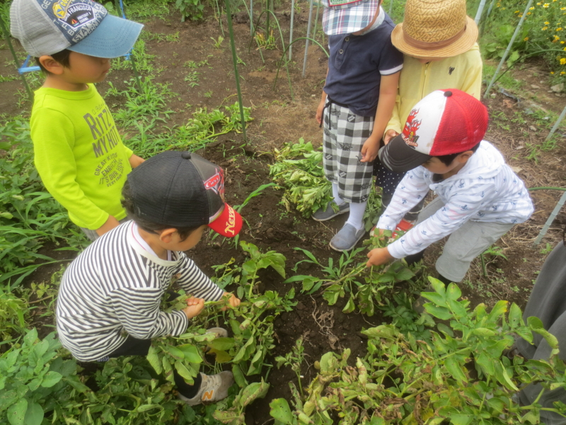 f:id:donkoro:20150622103018j:plain f:id:donkoro:20150622103018j:plain