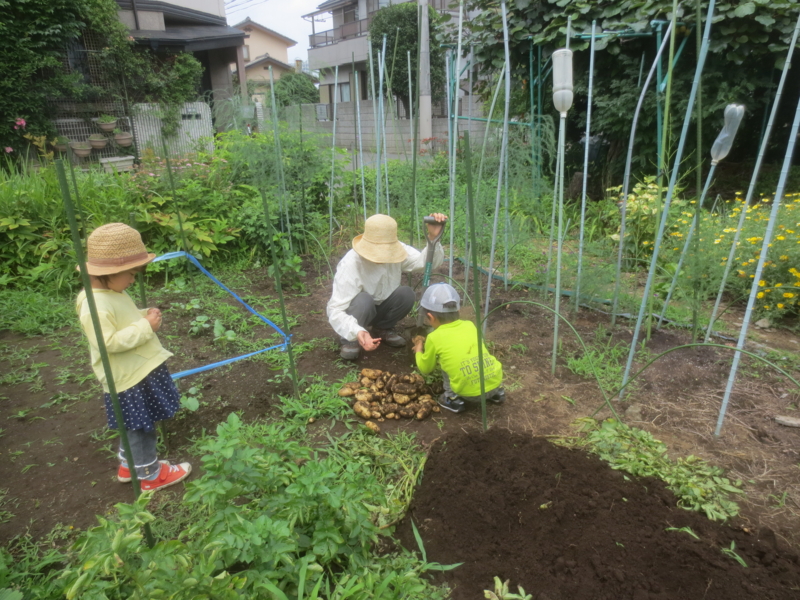 f:id:donkoro:20150622104447j:plain f:id:donkoro:20150622104447j:plain