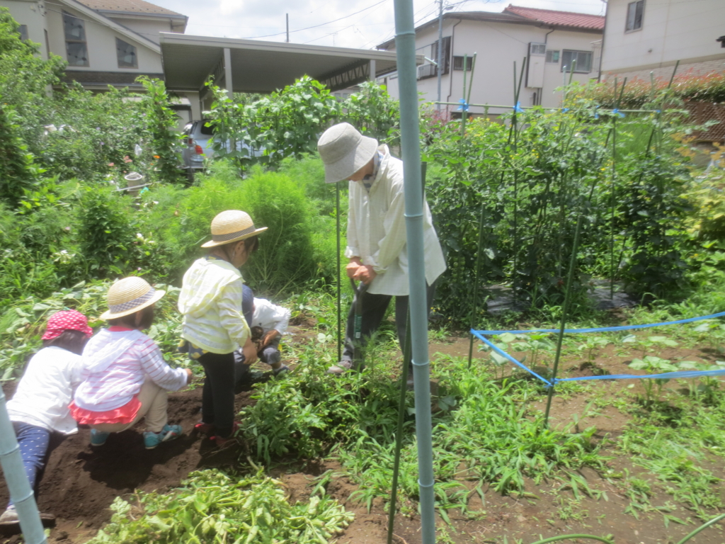 f:id:donkoro:20150629110529j:plain f:id:donkoro:20150629110529j:plain