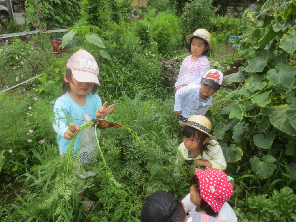 f:id:donkoro:20150629111217j:plain f:id:donkoro:20150629111217j:plain