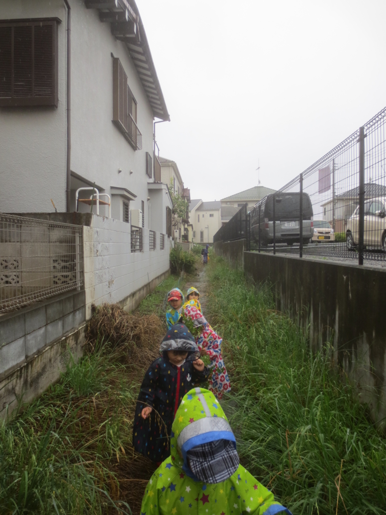f:id:donkoro:20150701114608j:plain f:id:donkoro:20150701114608j:plain