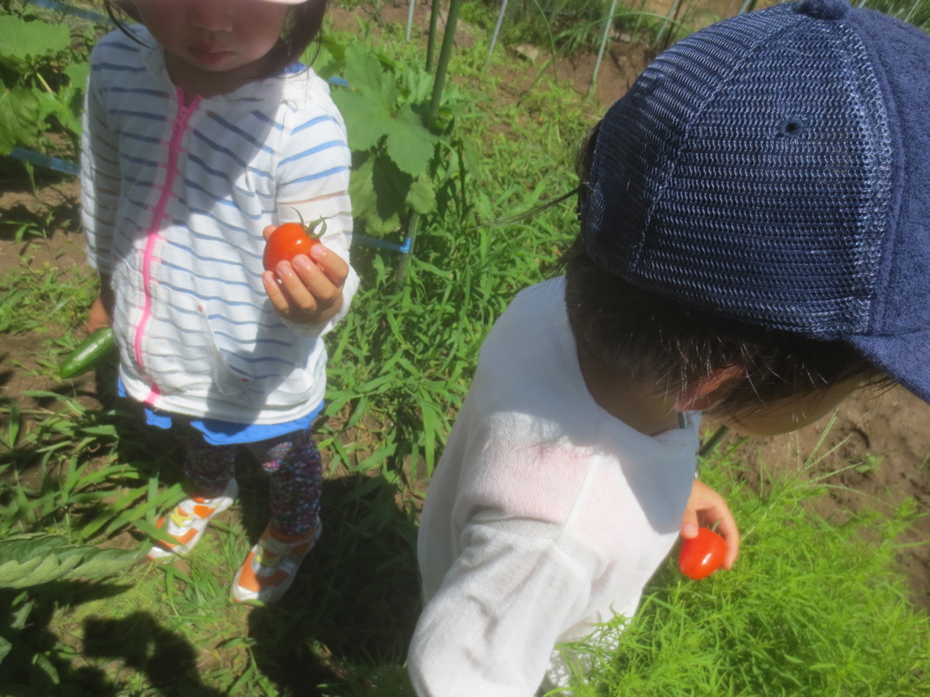 f:id:donkoro:20150713101604j:plain f:id:donkoro:20150713101604j:plain