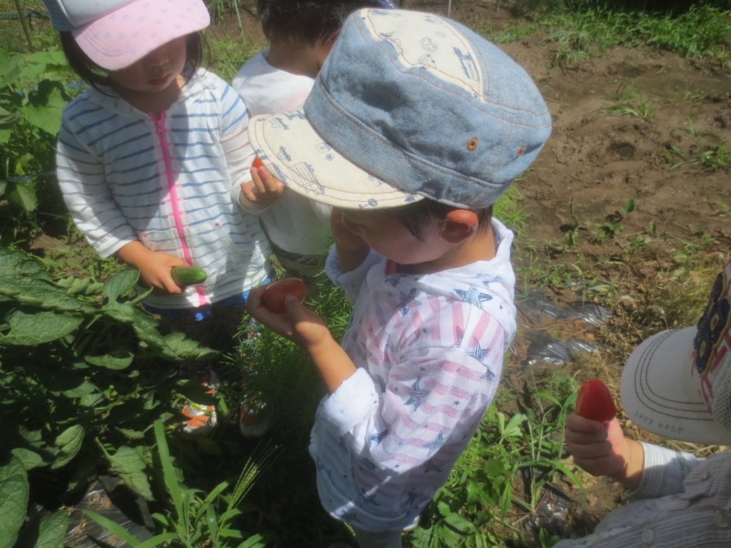 f:id:donkoro:20150713101617j:plain f:id:donkoro:20150713101617j:plain