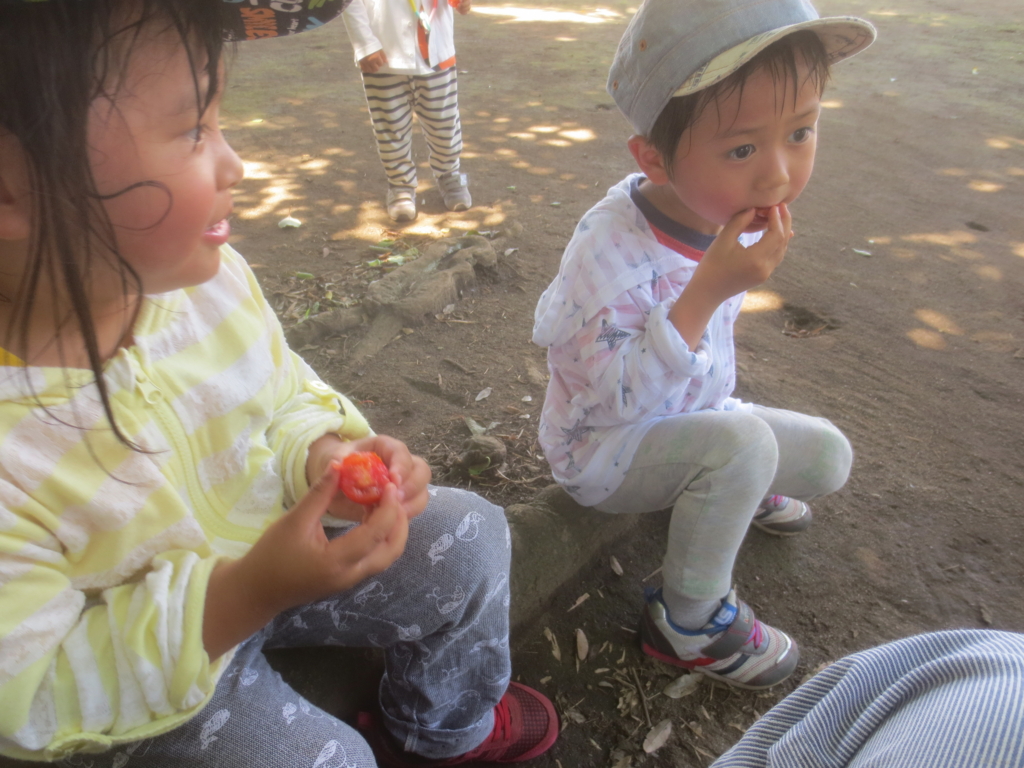 f:id:donkoro:20150713103430j:plain f:id:donkoro:20150713103430j:plain
