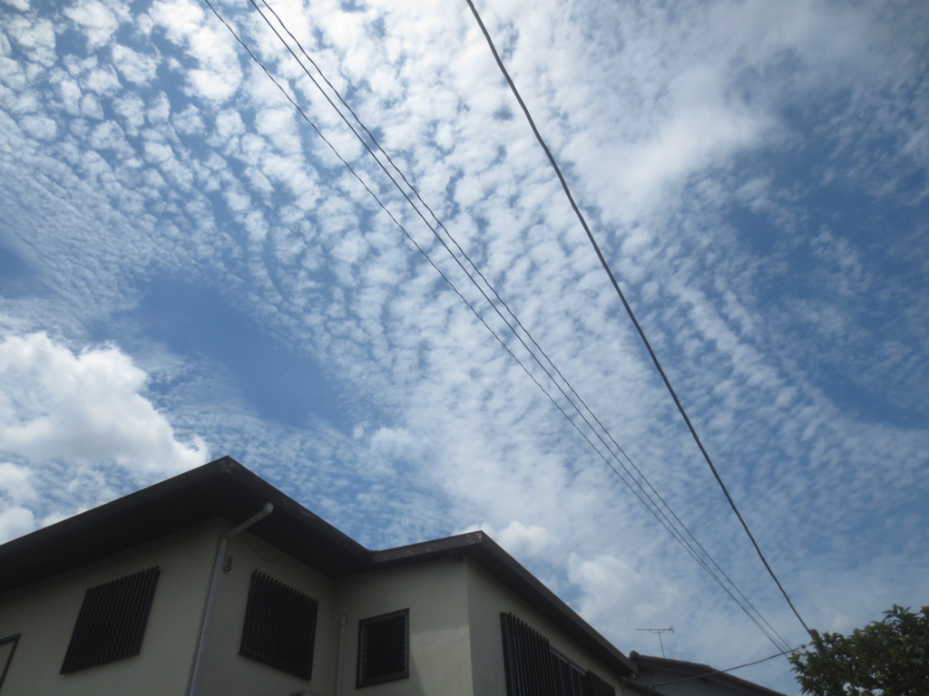 f:id:donkoro:20150715101907j:plain f:id:donkoro:20150715101907j:plain
