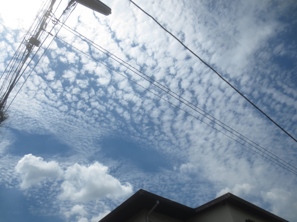 f:id:donkoro:20150715101912j:plain f:id:donkoro:20150715101912j:plain