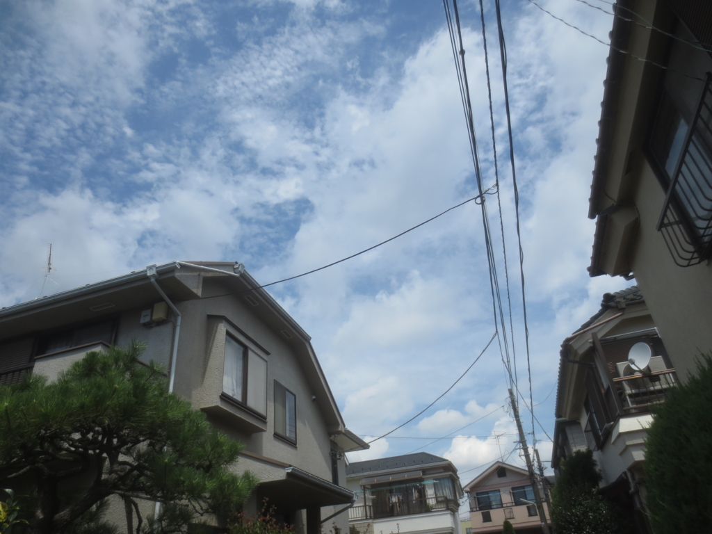 f:id:donkoro:20150715101920j:plain f:id:donkoro:20150715101920j:plain