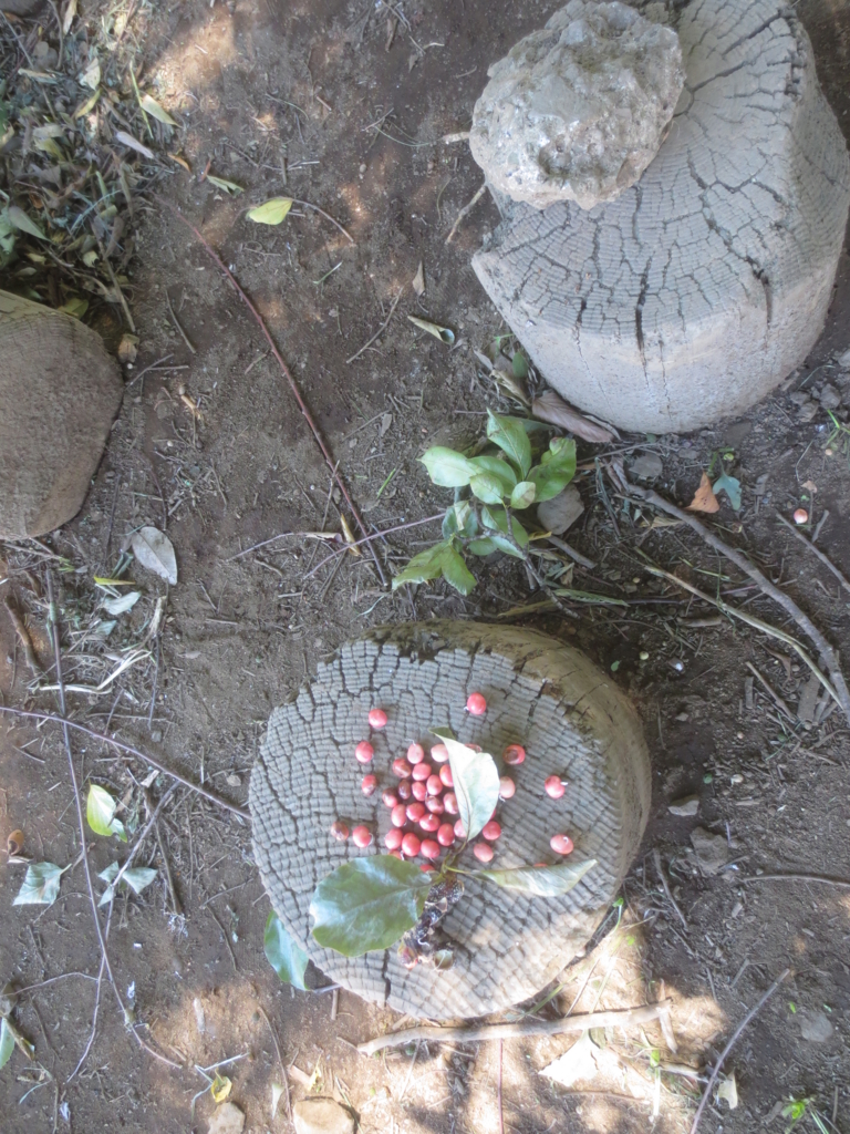 f:id:donkoro:20150715114627j:plain f:id:donkoro:20150715114627j:plain