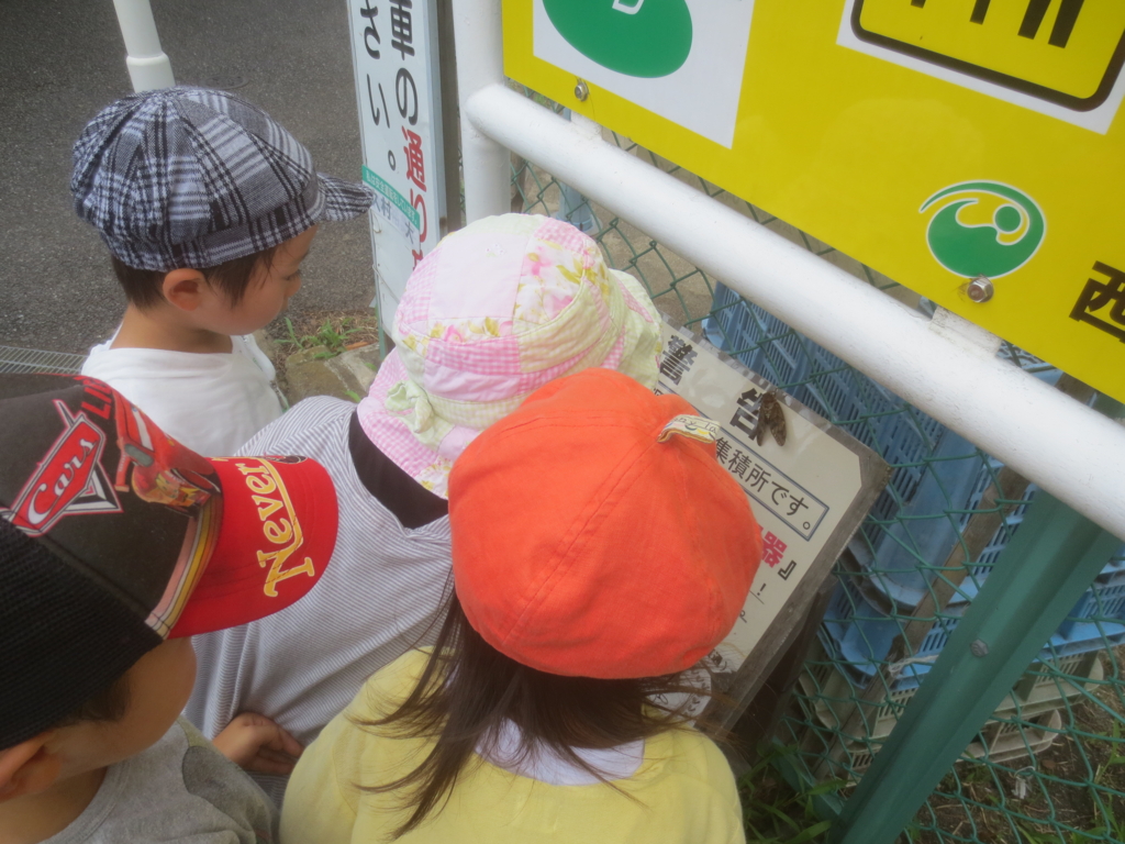 f:id:donkoro:20150723111119j:plain f:id:donkoro:20150723111119j:plain