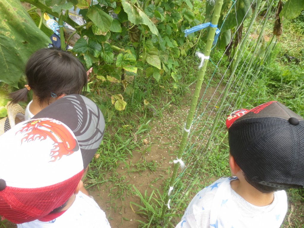 f:id:donkoro:20150727104127j:plain f:id:donkoro:20150727104127j:plain