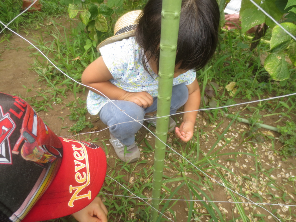 f:id:donkoro:20150727104146j:plain f:id:donkoro:20150727104146j:plain