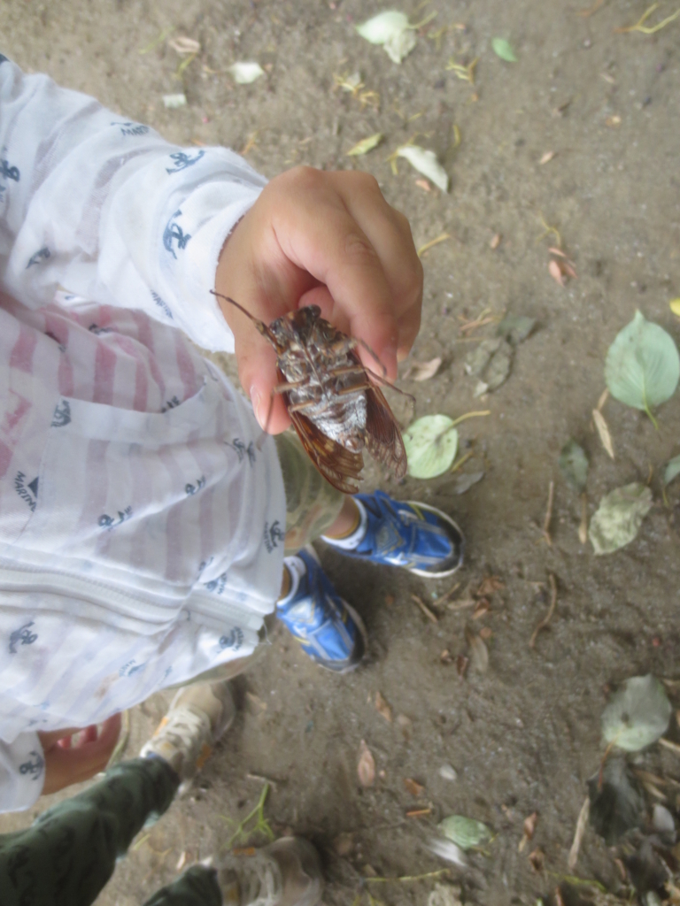 f:id:donkoro:20150824123502j:plain f:id:donkoro:20150824123502j:plain