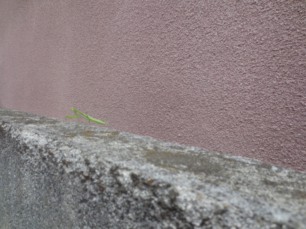 f:id:donkoro:20150825102831j:plain f:id:donkoro:20150825102831j:plain