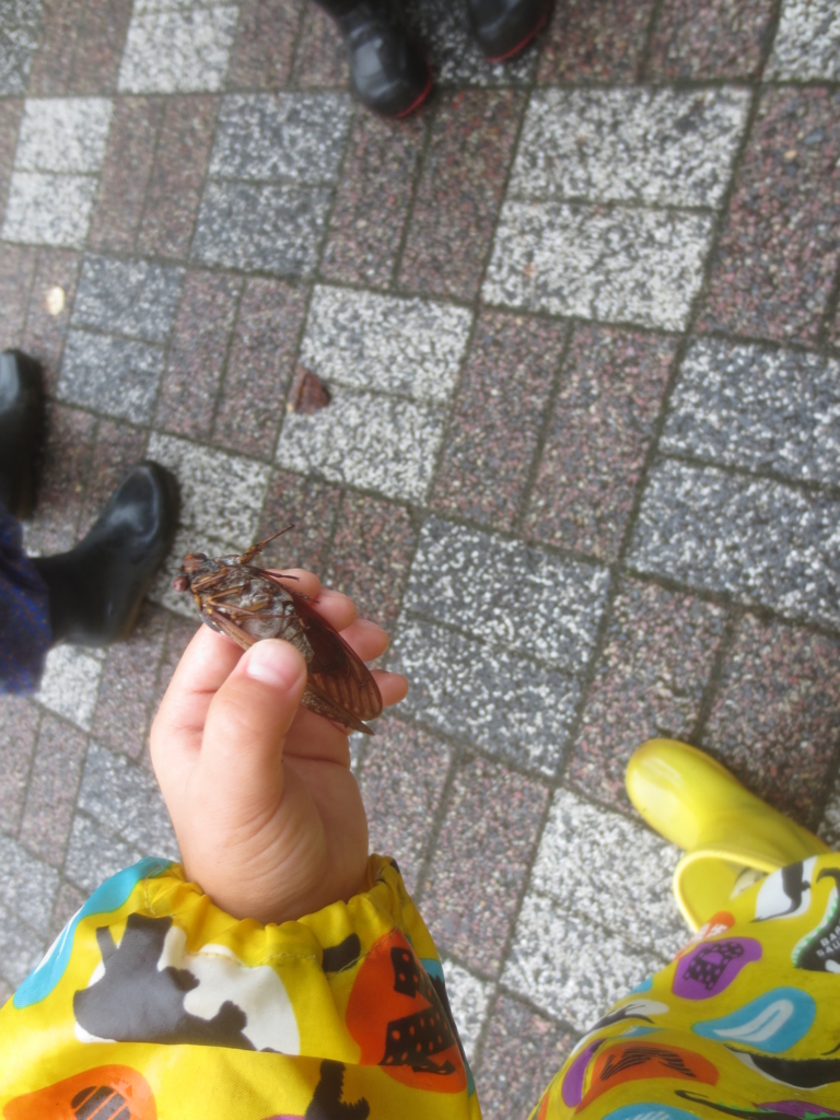 f:id:donkoro:20150826121143j:plain f:id:donkoro:20150826121143j:plain