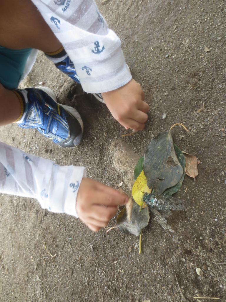 f:id:donkoro:20150827115635j:plain f:id:donkoro:20150827115635j:plain