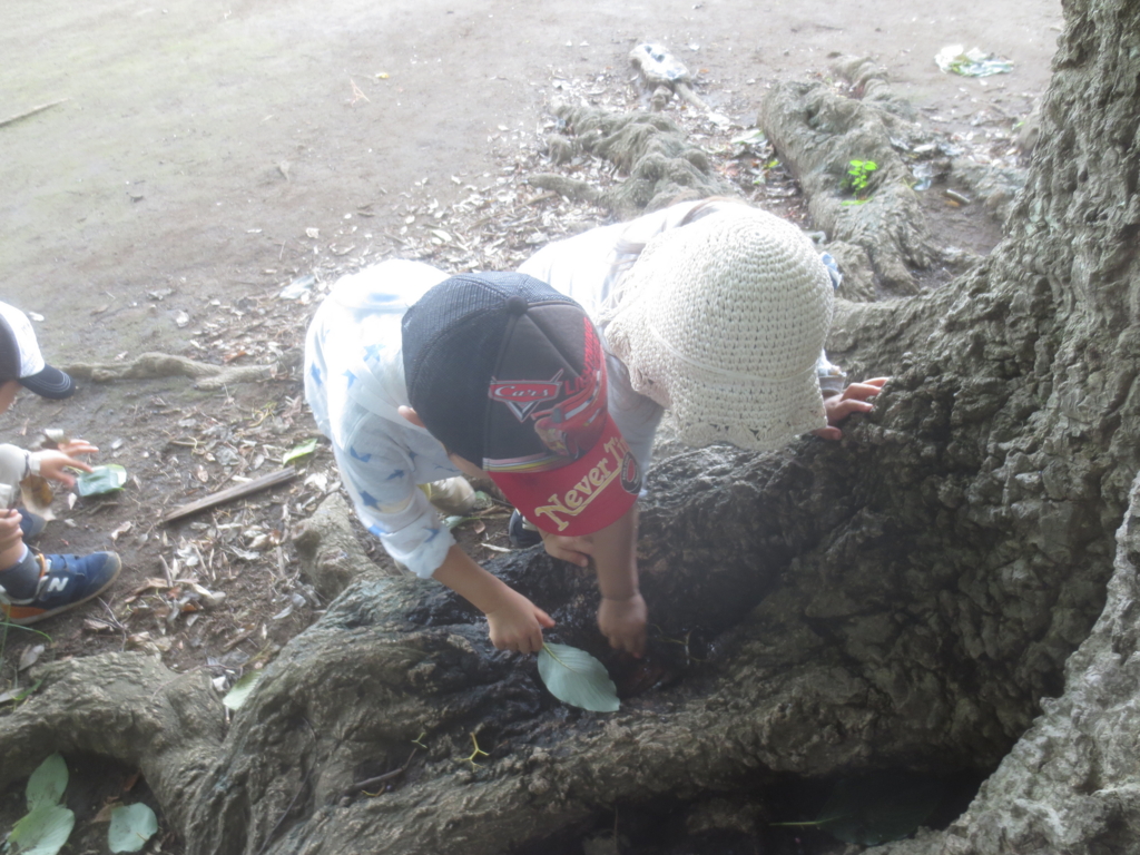f:id:donkoro:20150827122816j:plain f:id:donkoro:20150827122816j:plain