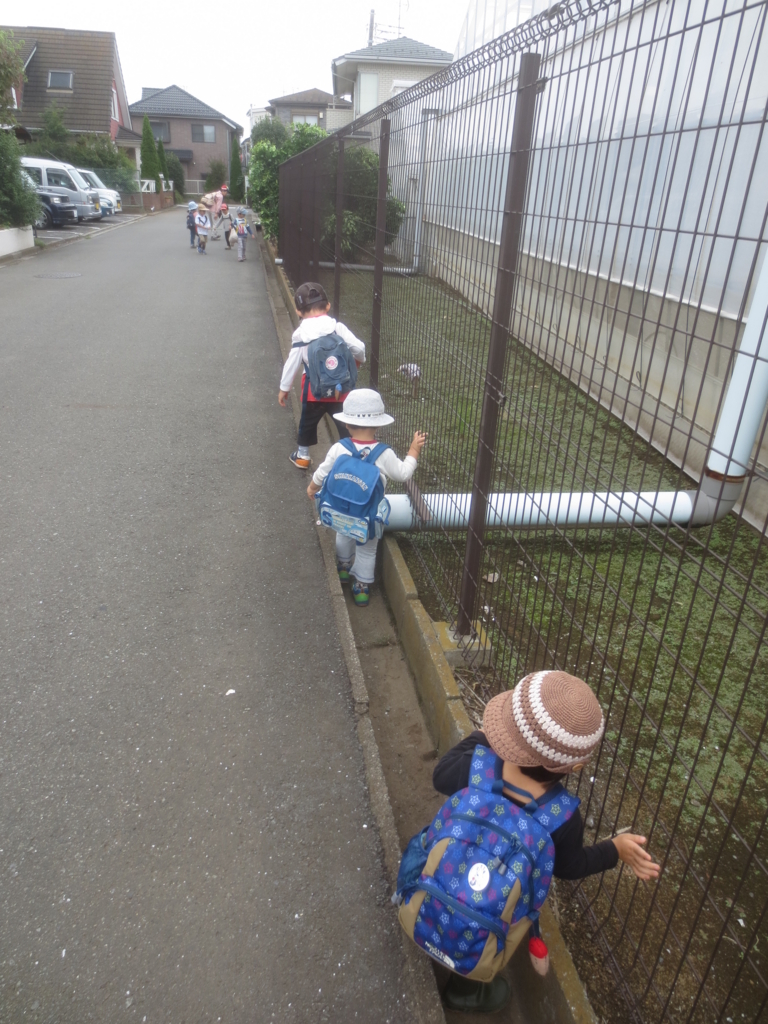 f:id:donkoro:20150828110626j:plain f:id:donkoro:20150828110626j:plain