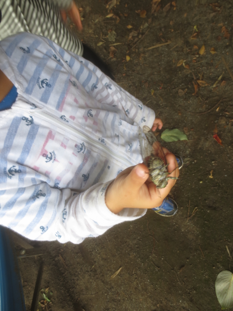 f:id:donkoro:20150828115511j:plain f:id:donkoro:20150828115511j:plain