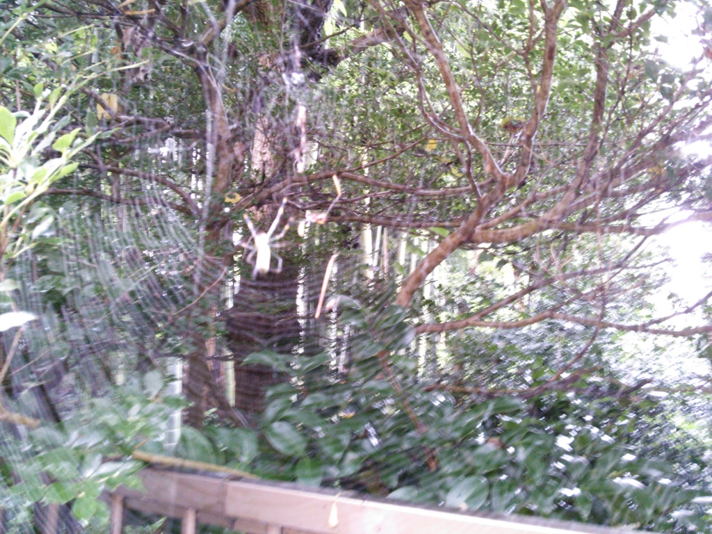 f:id:donkoro:20150831113358j:plain f:id:donkoro:20150831113358j:plain