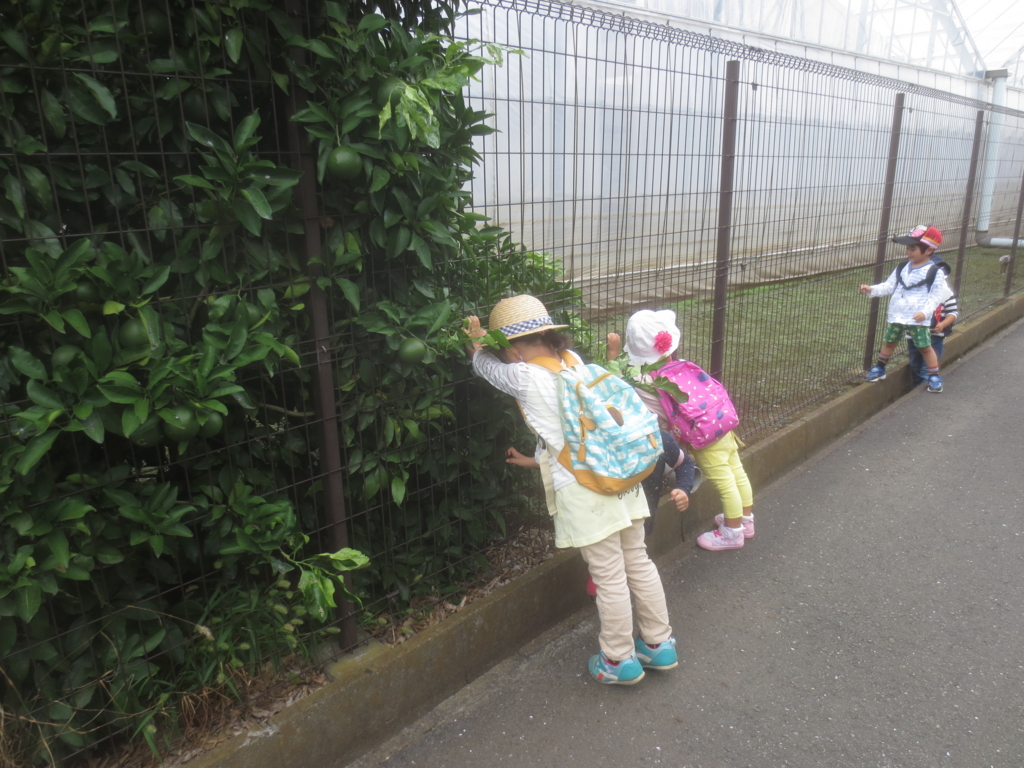 f:id:donkoro:20150903102758j:plain f:id:donkoro:20150903102758j:plain