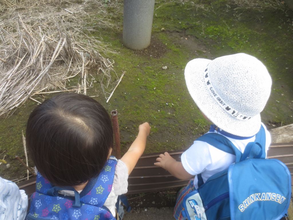 f:id:donkoro:20150904110319j:plain f:id:donkoro:20150904110319j:plain