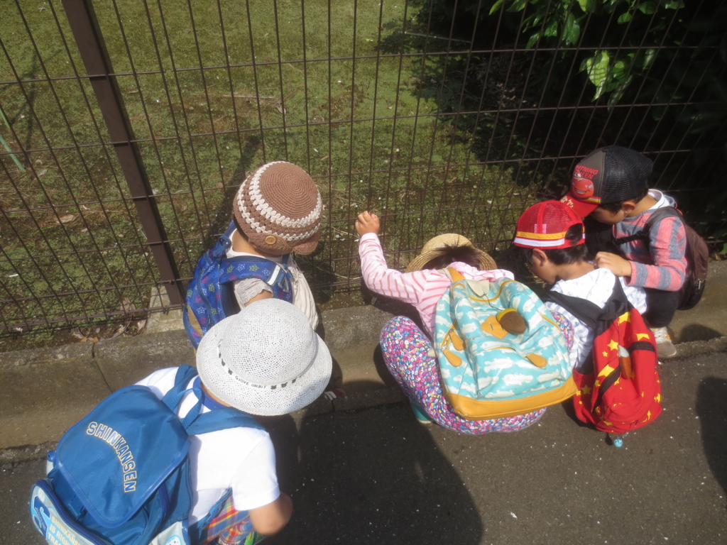 f:id:donkoro:20150904111629j:plain f:id:donkoro:20150904111629j:plain