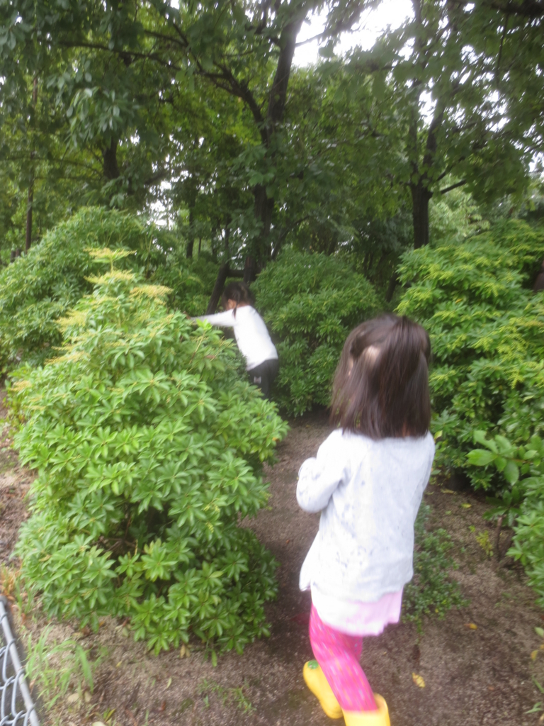 f:id:donkoro:20150910113343j:plain f:id:donkoro:20150910113343j:plain