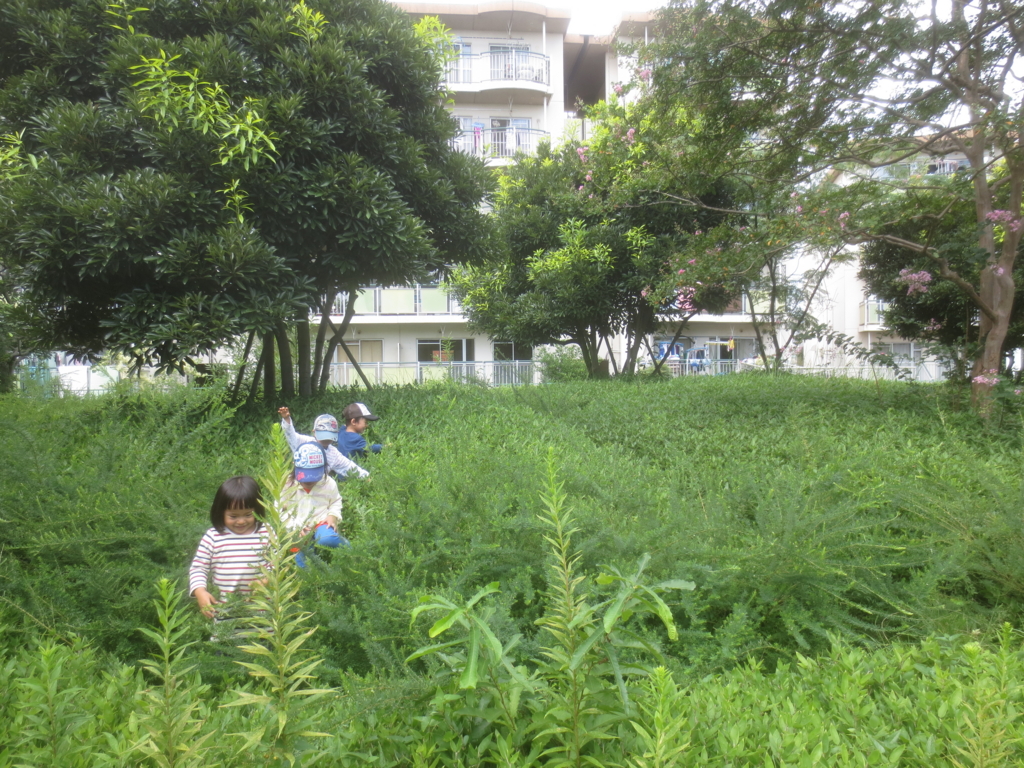 f:id:donkoro:20150914122653j:plain f:id:donkoro:20150914122653j:plain