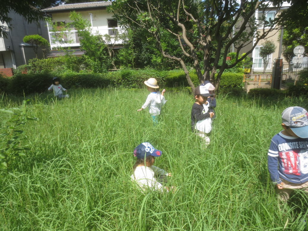 f:id:donkoro:20150915110821j:plain f:id:donkoro:20150915110821j:plain