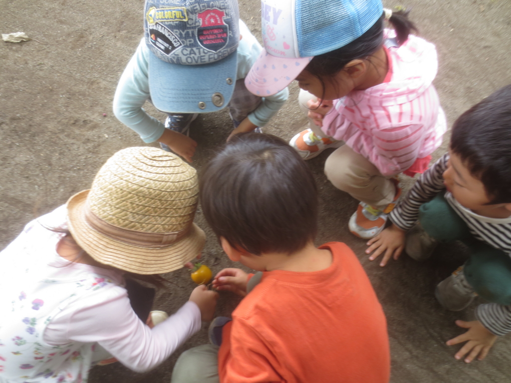 f:id:donkoro:20150916111917j:plain f:id:donkoro:20150916111917j:plain