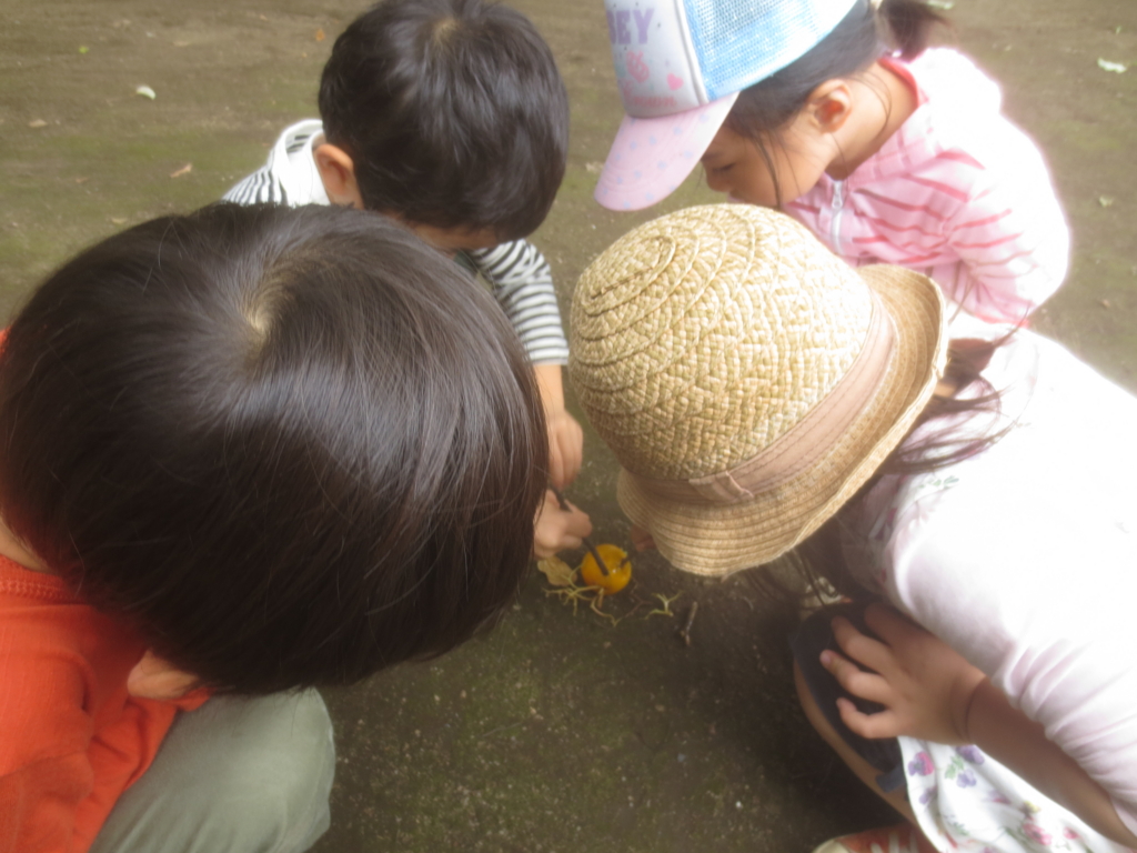 f:id:donkoro:20150916112100j:plain f:id:donkoro:20150916112100j:plain