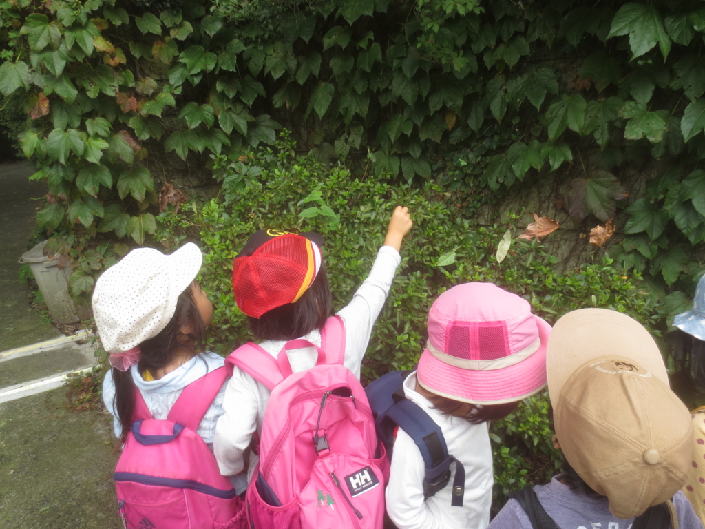 f:id:donkoro:20150924110226j:plain f:id:donkoro:20150924110226j:plain