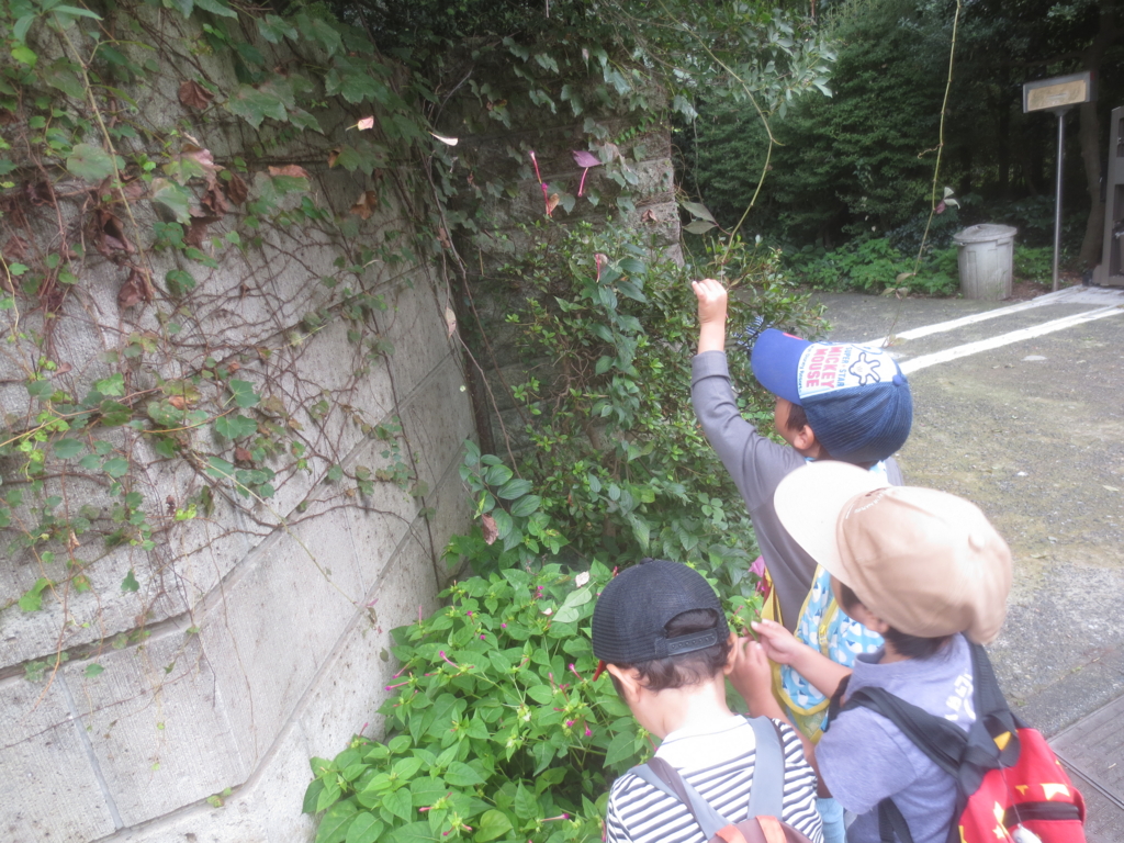 f:id:donkoro:20150924110658j:plain f:id:donkoro:20150924110658j:plain