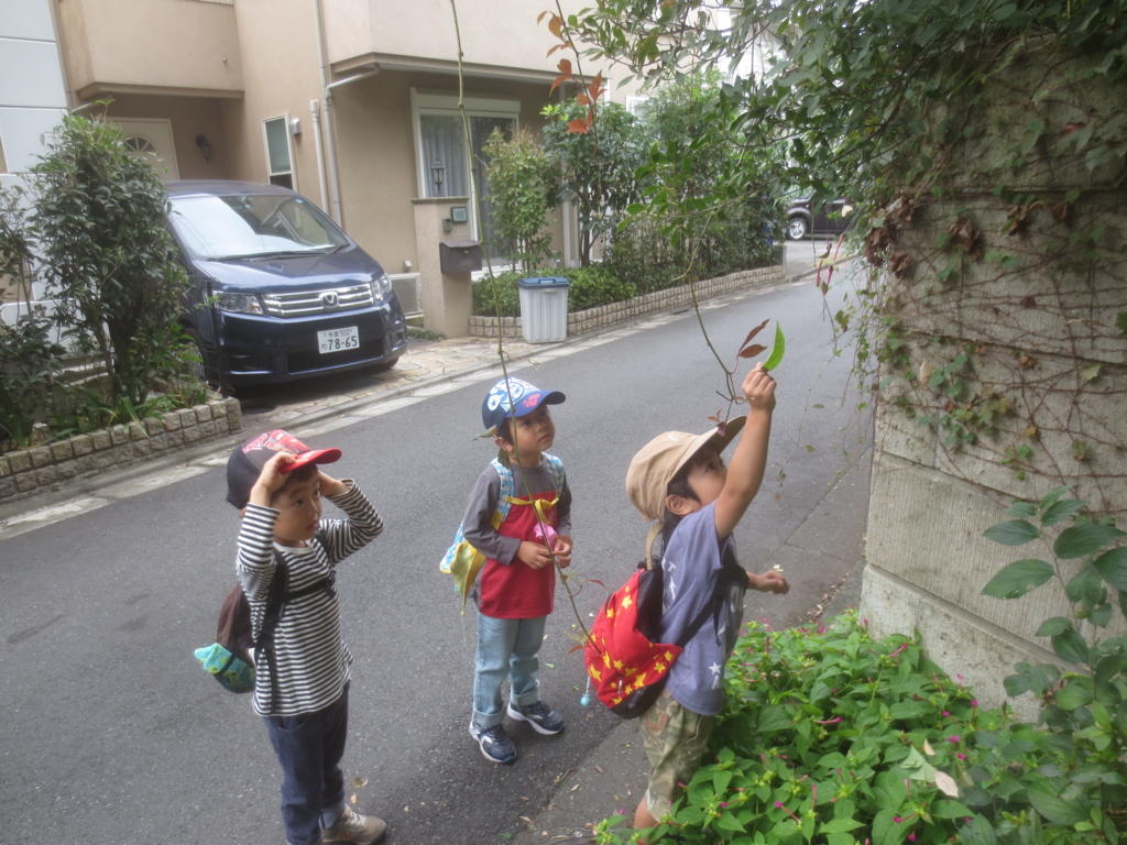 f:id:donkoro:20150924110730j:plain f:id:donkoro:20150924110730j:plain