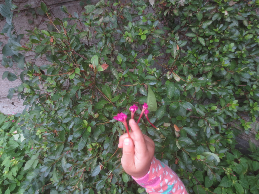 f:id:donkoro:20150924111125j:plain f:id:donkoro:20150924111125j:plain