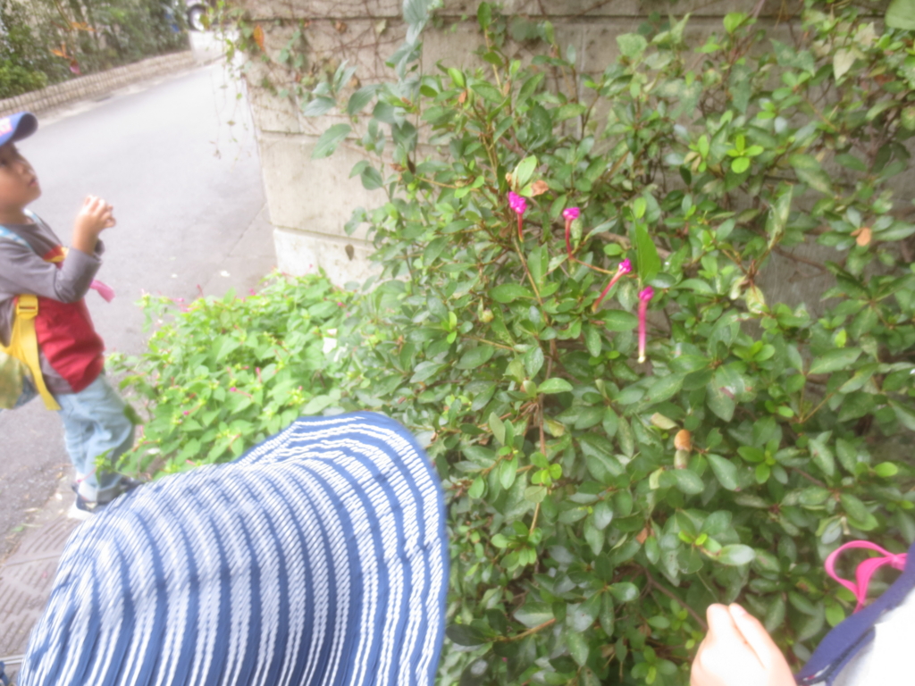 f:id:donkoro:20150924111132j:plain f:id:donkoro:20150924111132j:plain