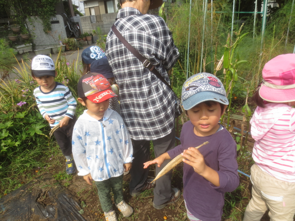 f:id:donkoro:20150928101848j:plain f:id:donkoro:20150928101848j:plain