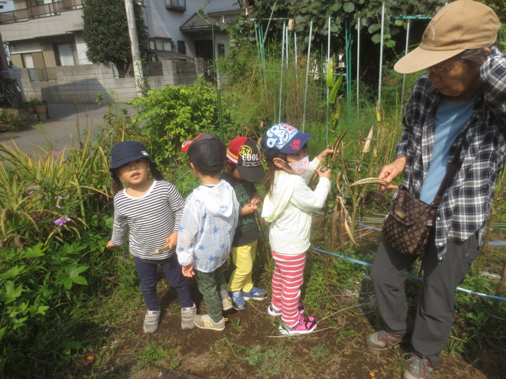 f:id:donkoro:20150928101930j:plain f:id:donkoro:20150928101930j:plain