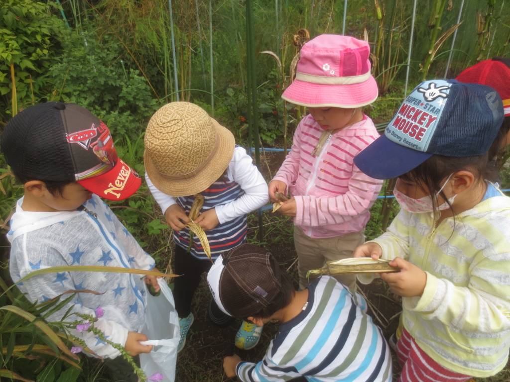 f:id:donkoro:20150928102200j:plain f:id:donkoro:20150928102200j:plain
