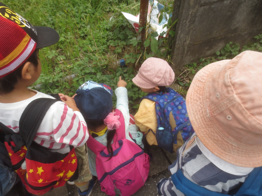 f:id:donkoro:20151002103756j:plain f:id:donkoro:20151002103756j:plain