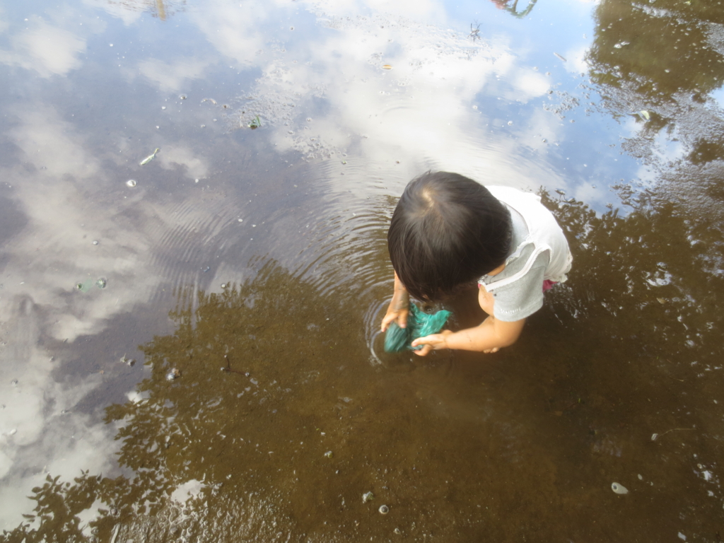 f:id:donkoro:20151002115751j:plain f:id:donkoro:20151002115751j:plain