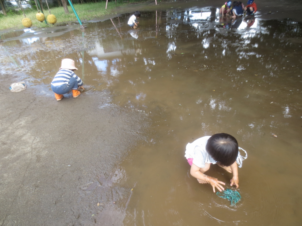f:id:donkoro:20151002120036j:plain f:id:donkoro:20151002120036j:plain
