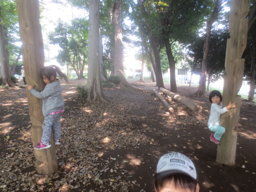 f:id:donkoro:20151020114953j:plain