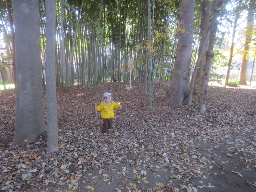 f:id:donkoro:20151204112314j:plain f:id:donkoro:20151204112314j:plain