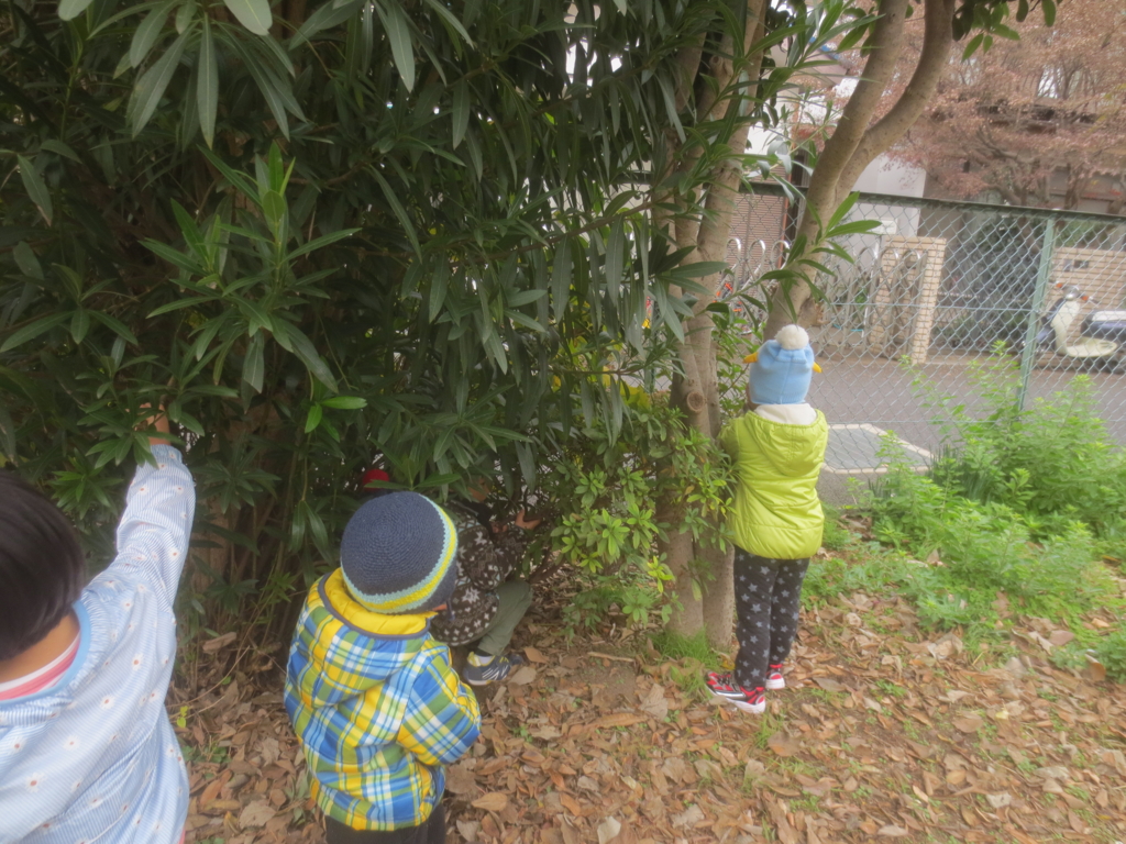 f:id:donkoro:20151215115727j:plain