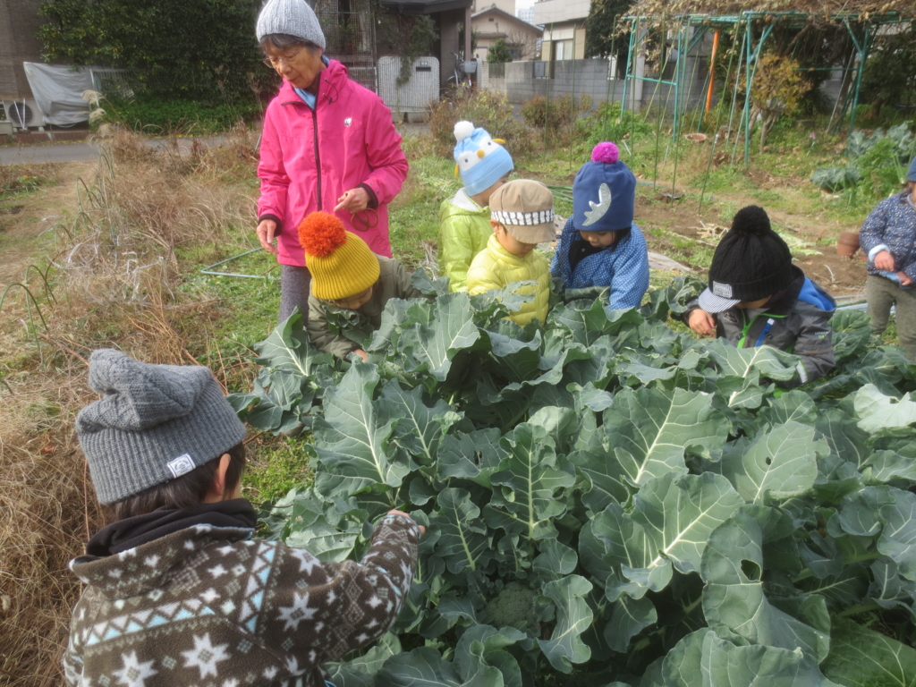 f:id:donkoro:20151221111157j:plain
